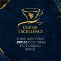 Leilões do Cup of Excellence 2025 ofertam os melhores cafés especiais do Brasil em dezembro